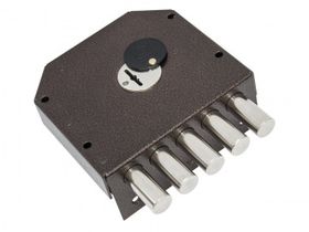 Гардиан 2007 Л ,5 кл/левый/ 1/6