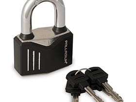 PALLADIUM ЗН-900S-40 (6/36)