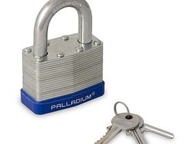 PALLADIUM ЗН-901S-65 (6/36)