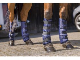 Ногавки 402004007-F RW транспортные укороченные,стан (синий)V