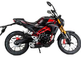 Мотоцикл MOTOLAND 501 (172FMM-5/PR250) ТУРЭНДУРО