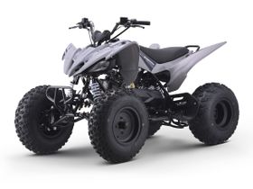 Квадроцикл SHARMAX Raizer Race Cup 250