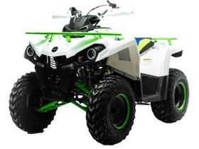 Квадроцикл MOTOLAND 200 Shark (2021 Г.)