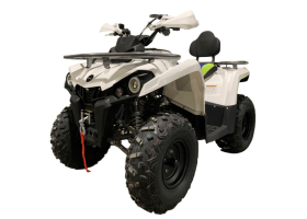 Квадроцикл MOTOLAND Shark 200