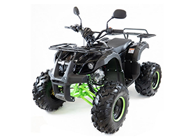 Квадроцикл MOTAX ATV Grizlik LUX 125cc