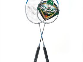 Набор для бадминтона DOUBLE FISH JINQUE LT-119, длина 630 мм, 2 ракетки в чехле
