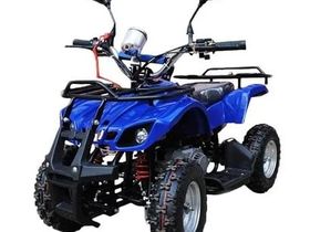 Квадроцикл RAPTOR Max Pro 49cc (2024)