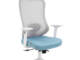 Кресло руководителя CHAIRMAN CH563 белый