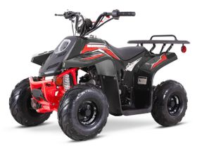 Квадроцикл SHARMAX 130 Cross