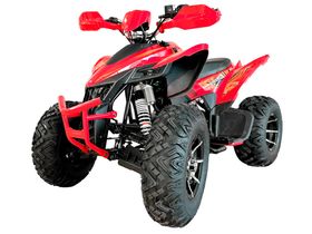 Квадроцикл YACOTA Typhoon 250LD