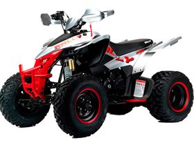 Квадроцикл MOTOLAND RALLY 250