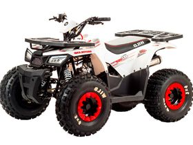 Квадроцикл MOTOLAND 125 Wild