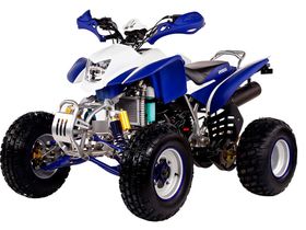 Квадроцикл IRBIS ATV250S
