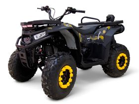 Квадроцикл MOTAX Grizlik W200