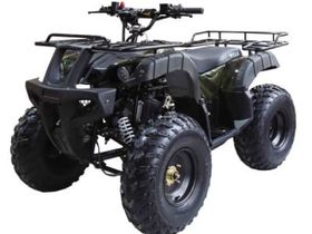 Квадроцикл WELS ATV Thunder 150
