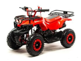 Квадроцикл MOTOLAND 50 Scorpion (2021 Г.)