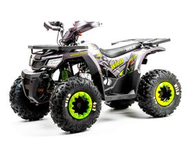 Квадроцикл MOTOLAND Wild Basic 125