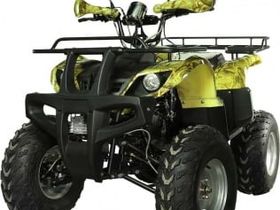 Квадроцикл AVANTIS Hunter 200 Lite