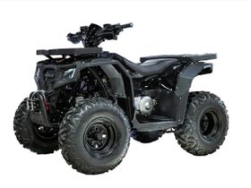 Квадроцикл ПРОГАСИ Race Jumper 200 Max Power