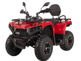 Квадроцикл Bizon YK250 Basic Carb