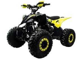 Квадроцикл MOTOLAND VOX125 Raptor