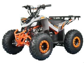 Квадроцикл REGULMOTO S12