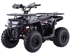 Квадроцикл BSE XT-1U Black