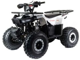 Квадроцикл MOTOLAND ATV 125 Storm