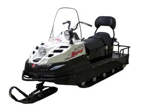 Снегоход RM БУРАН АД