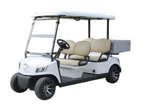 Гольфкар MARSHELL DG-M4