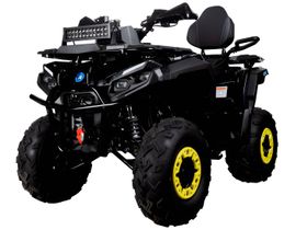 Квадроцикл AVANTIS Forester Long 250 Lux