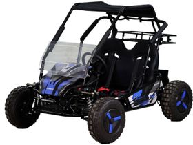 Багги SCANMOTO Rapid II