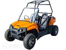 Багги SCANMOTO RAPTOR