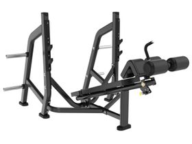 Скамья для жима олимпийская с обратным наклоном JAGUAR-SPORT JS-BH-48