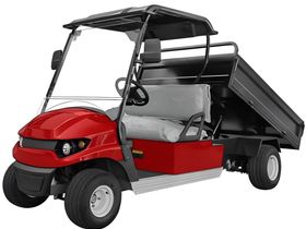 Гольфкар ZIMANI DC1000H