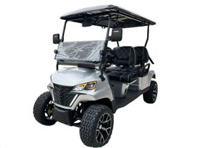Гольфкар EV SYSTEMS Maximus 4+2