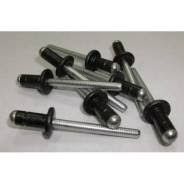 Заклепка для лючка TOYOTA  P2011 Китай черный 1/25шт