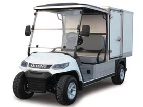 Гольфкар GREENCAMEL LVTong A2Box (2+Box, 4kW AC, R10)