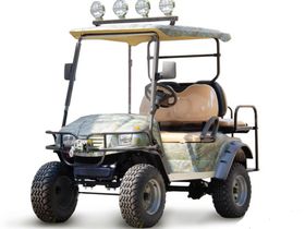 Гольфкар EAGLE EG2020ASZ