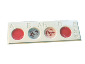 Планшет для типирования групп крови на 4 лунки круглой формы, ПВХ (поливинилхлорид), одноразовый, Россия (Гем) 590060