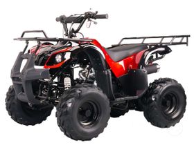 Квадроцикл BISON Spider 110 red