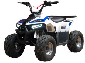 Квадроцикл BISON ATV 110 EAGLE NEW