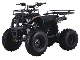 Квадроцикл BSE SHUTTLE
