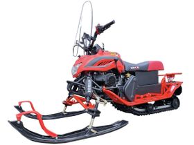 Снегоход IRBIS Dingo T200 XE 25/26 NEW