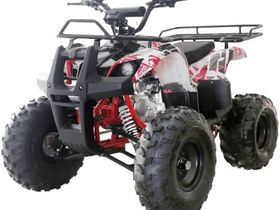 Квадроцикл WELS Thunder 125 Basic
