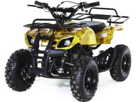 Квадроцикл MOTAX ATV Mini Grizlik X-16