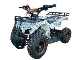Квадроцикл ATV Target Next