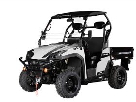 Багги Linhai yamaha LH1100U-D