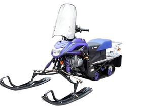 Снегоход IRBIS Dingo T125