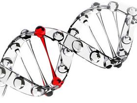 Генетическая предрасположенность					